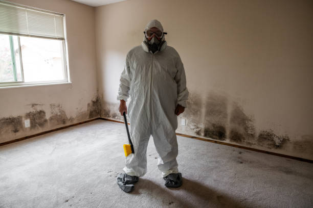 Attic Mold Removal in Southeast Arcadia, FL